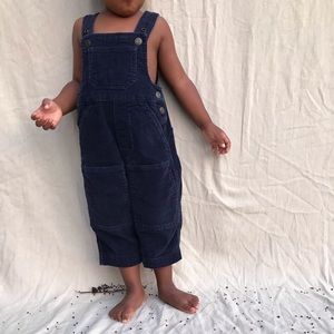 Talbots blue corduroy jumper